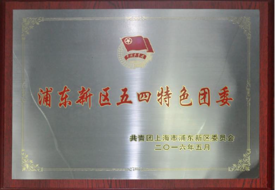 冠松集團浦東新區五四特色團委